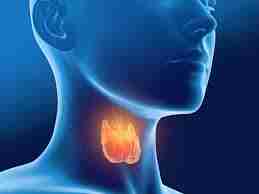 Thyroid-kitne-din-me-thik-ho-jata-h-test-kimat-kya (2)